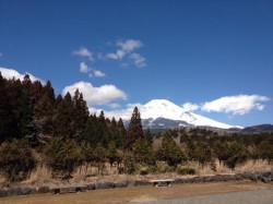 10150549_10151939195186761_1877913658_n