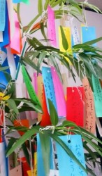 t02200375_0751128012989227583