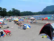 t01900143_0190014313024222508