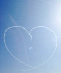 t02200262_0800095113082033763