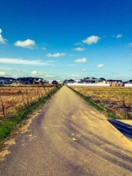 t02200294_0245032713082007315