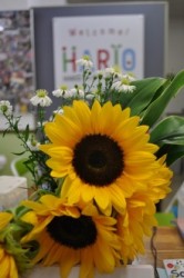 t02200331_0399060113060299077