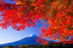 富士山