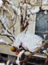 t02200293_0768102413181817074