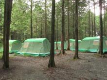 t02200165_0650048813222631840