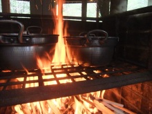 t02200165_0507038113275011840