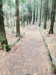 t02200293_0768102413275003638