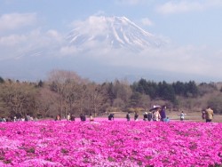 写真 1