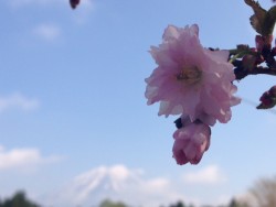 写真 4