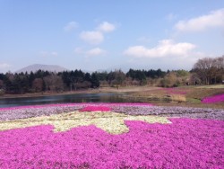 写真 5