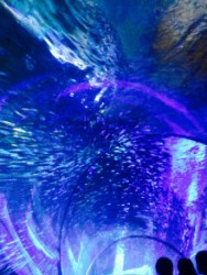 t02200293_0768102413324345467