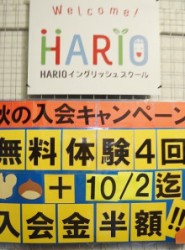 t02200298_0420056913412126402