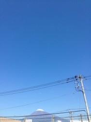 t02200293_0768102413451881913