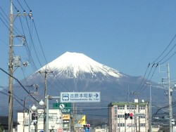 富士山