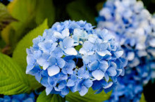 t02200146_0276018313672522437