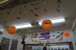 o0452030013775231855