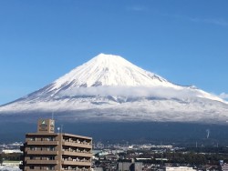 img_1016