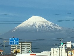 img_1052