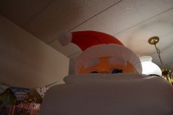 o0362024013819694573