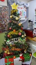 o0493088913811107365