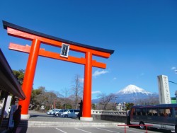 o0640048013826229497