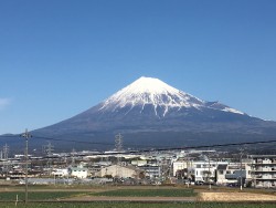 IMG_1483
