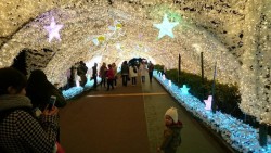 o0960054013843035754