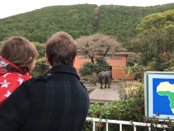 o0960072013843035724