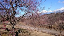 o1776099913848294050