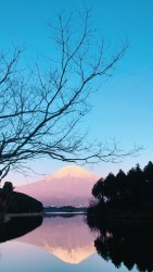 o0720128013864707475