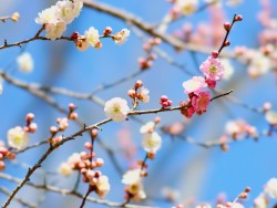 o1024076813875380643