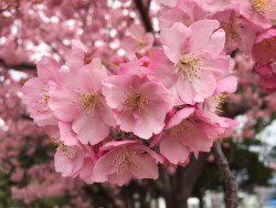 o1632122413876079862