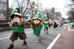 o0800053313895137980