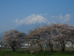 fuji-san
