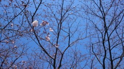 o2048115213905857681