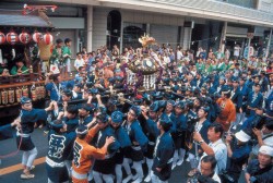 o0640043113949173881