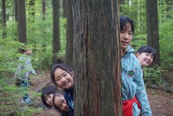 o1200080013940159372