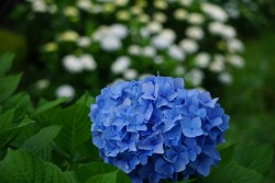 DSC03379