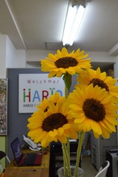 o0600090313971224837