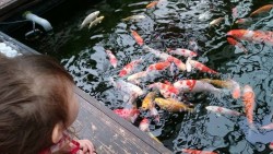 o0720040513969805283