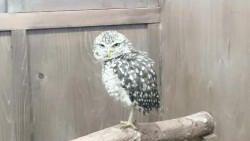 o0720040513969805285